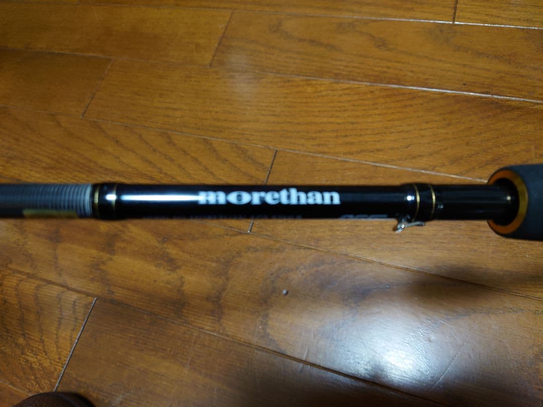 ダイワmorethan AGS 97MLB シーバスロッド