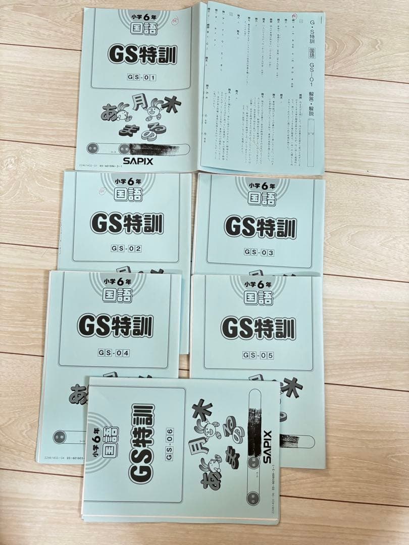 【最新】Sapix 2024年度 6生 国語1年分