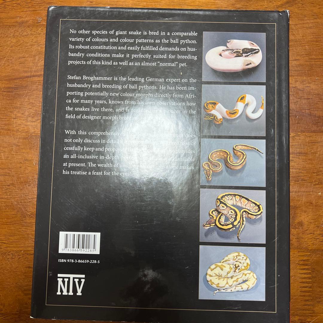 洋書 PYTHON REGIUS