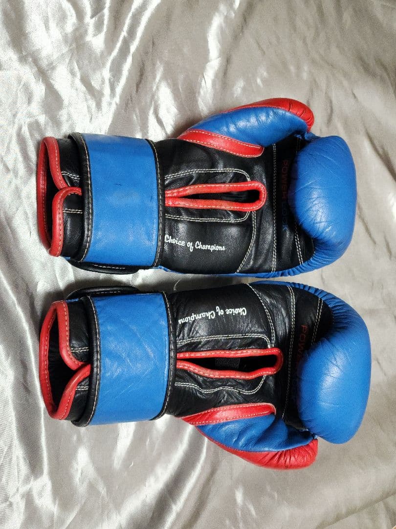 エバーラスト パワーロック 14oz ボクシンググローブ