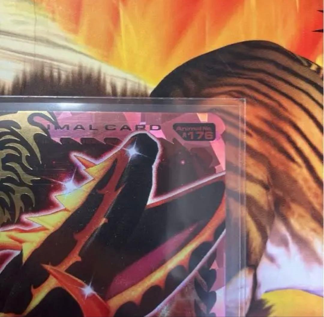 ジャズ　滅亡シロナガス帝王　英語版　EVO.8