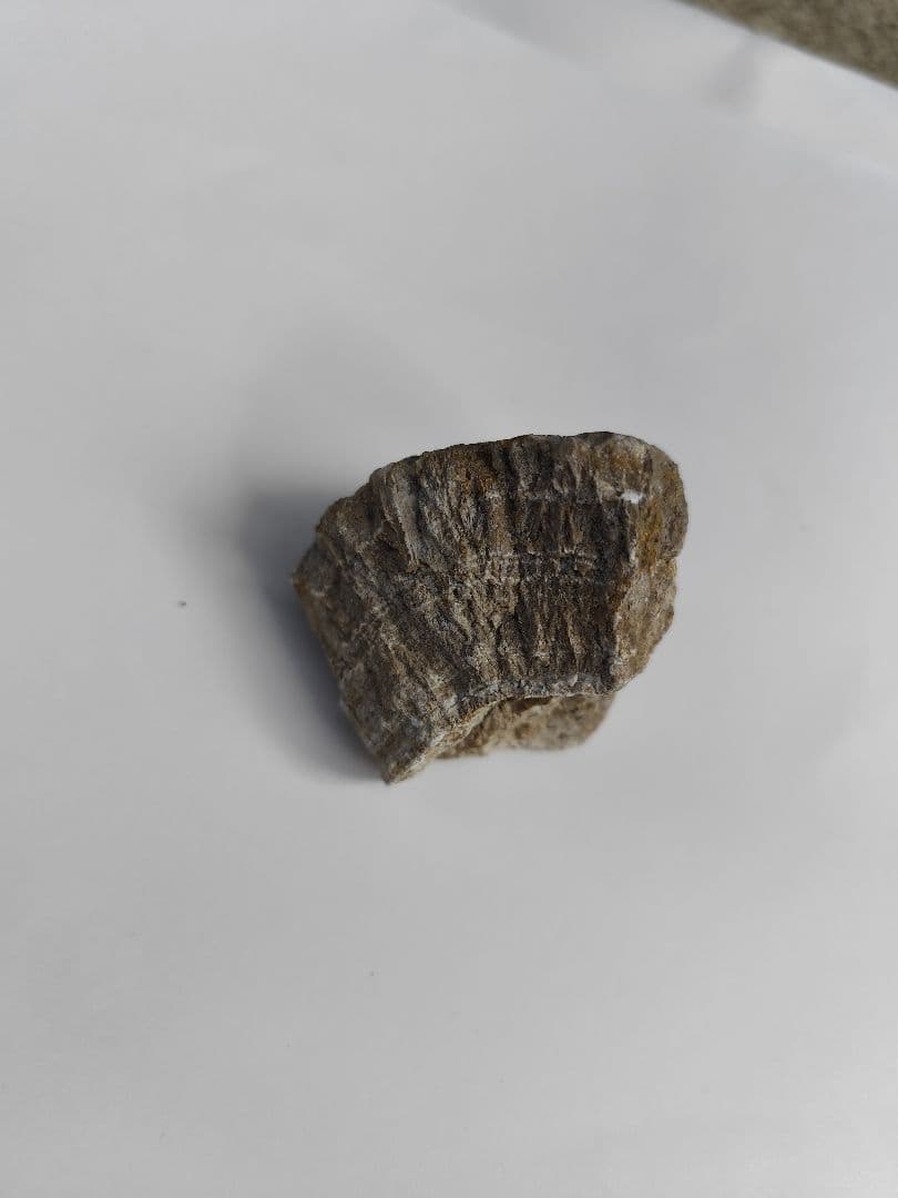 玉川温泉 北投石 ラジウム hokutolite 約130g 日本 がん治療