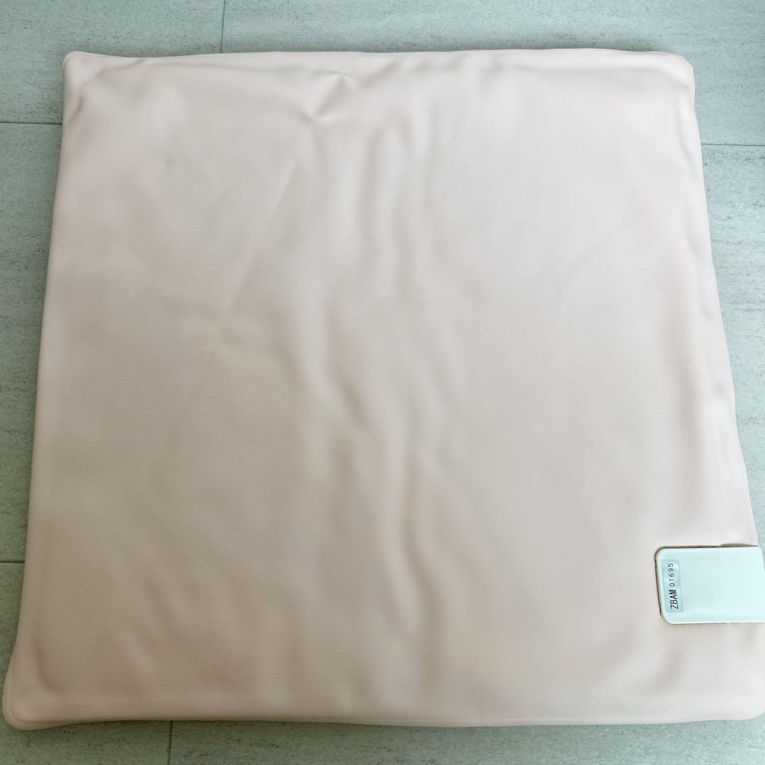 【長澤】ピュアルネッサンス　ザブティーマット