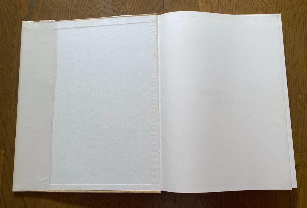 アービング・ペン 写真集 1960年発行