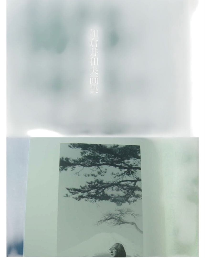 新品　激レア　貴重　「加倉井和夫画集 限定500部 定価98000円　保証付き