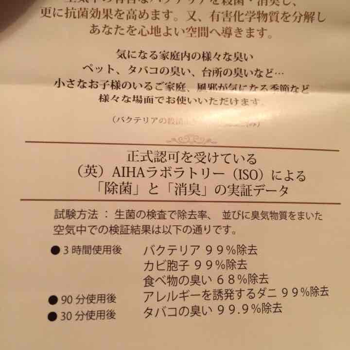 Ashleigh & Burwood アシュレイ&バーウッド