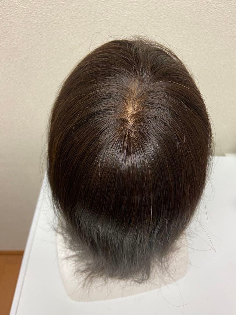 私元気・部分ウィッグ・12×8・ブラック・長さミディアム25センチ【試着のみ】