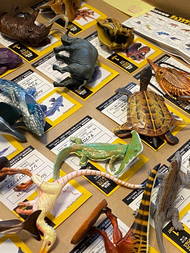 【最終値下げ】チョコラザウルス　前期後期セット 51体 コンプリート　海洋堂