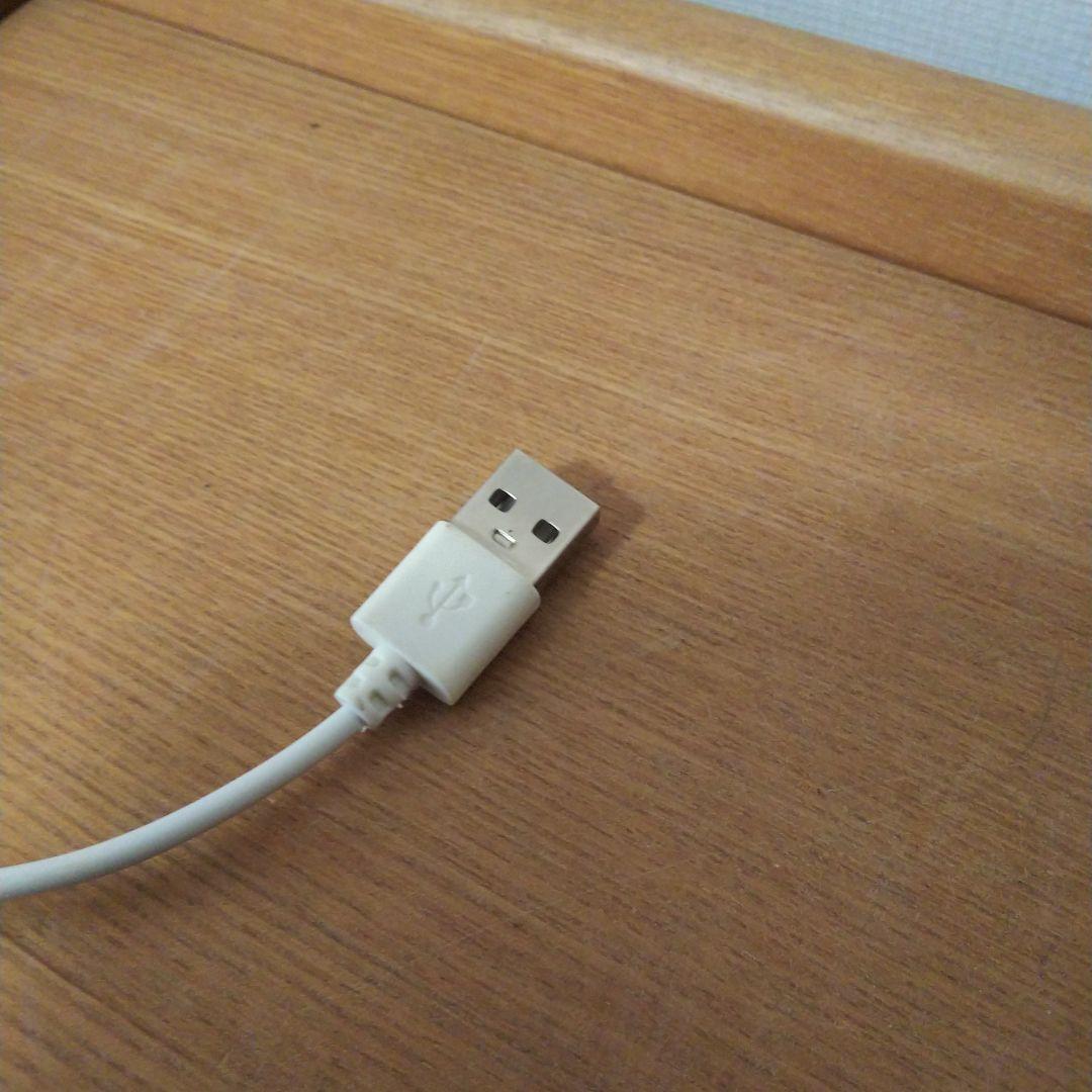 【受注生産】滝の流れるアクアテラリウム　テラリウム　苔　イモリウム