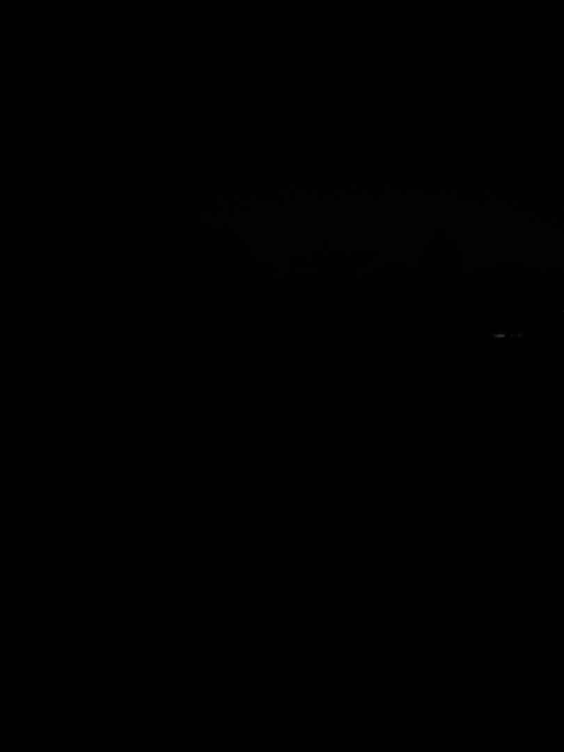 PVS-31 双眼微光ナイトビジョン（グリーン管）