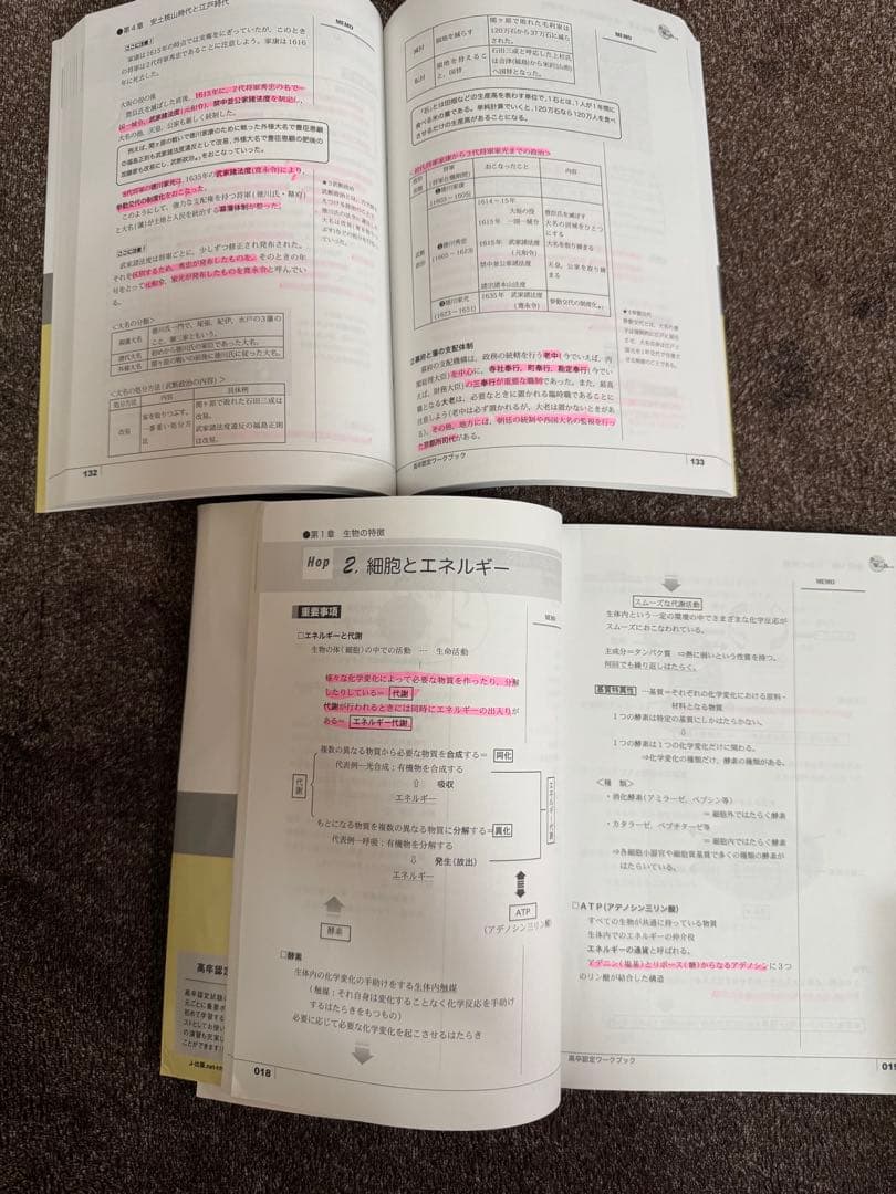理*ん様 2022 高卒認定 ワークブックセット
