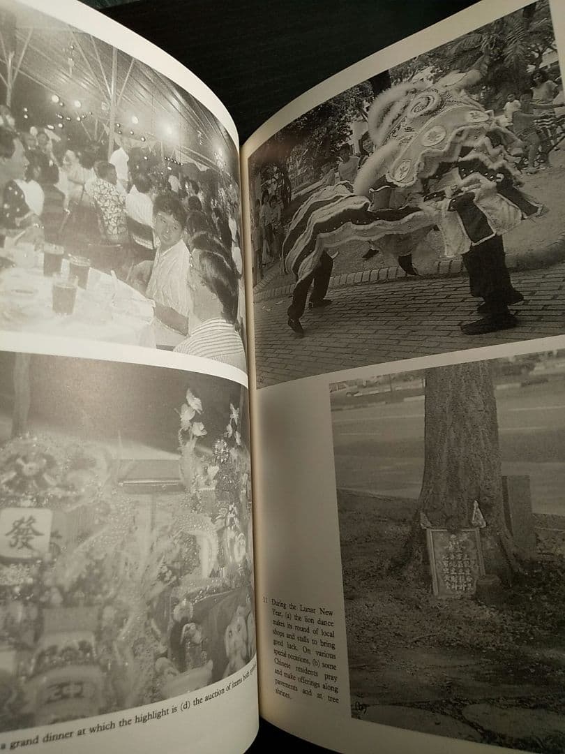 〈洋書〉多民族性の意味：シンガポールにおける民族性と民族関係のケーススタディ