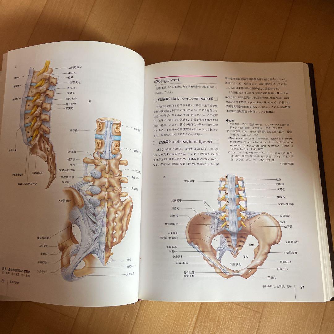 図説腰椎の臨床
