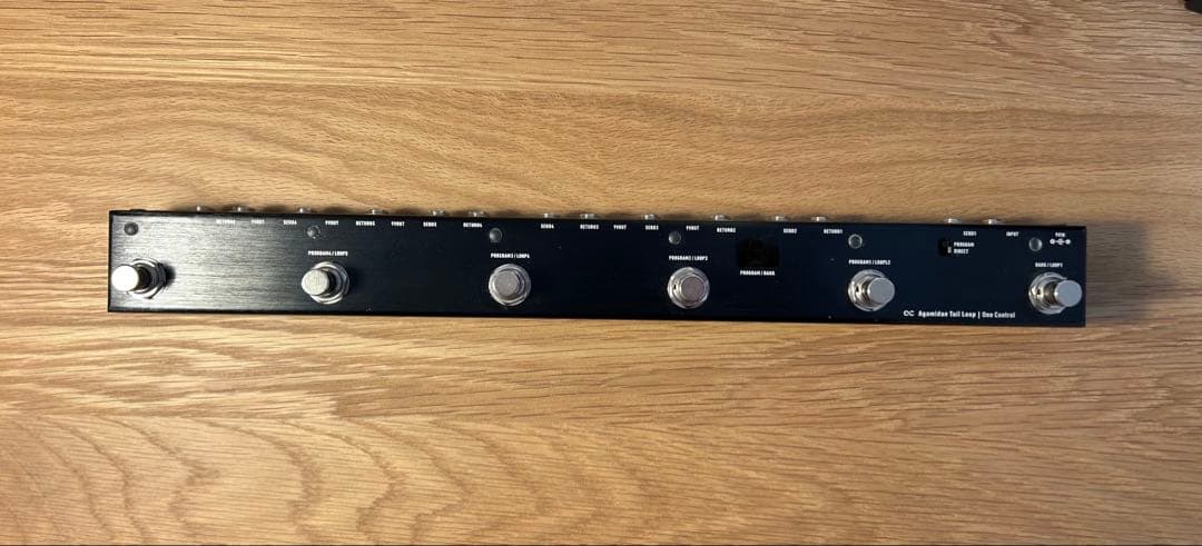 ギター One control Agamidae tail loop