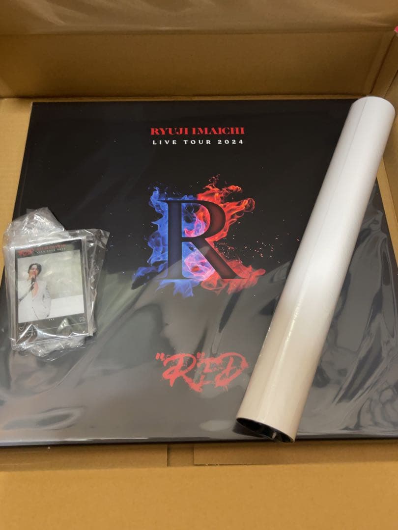 【最終値下げ】今市隆二 RYUJI IMAICHI RED DVD