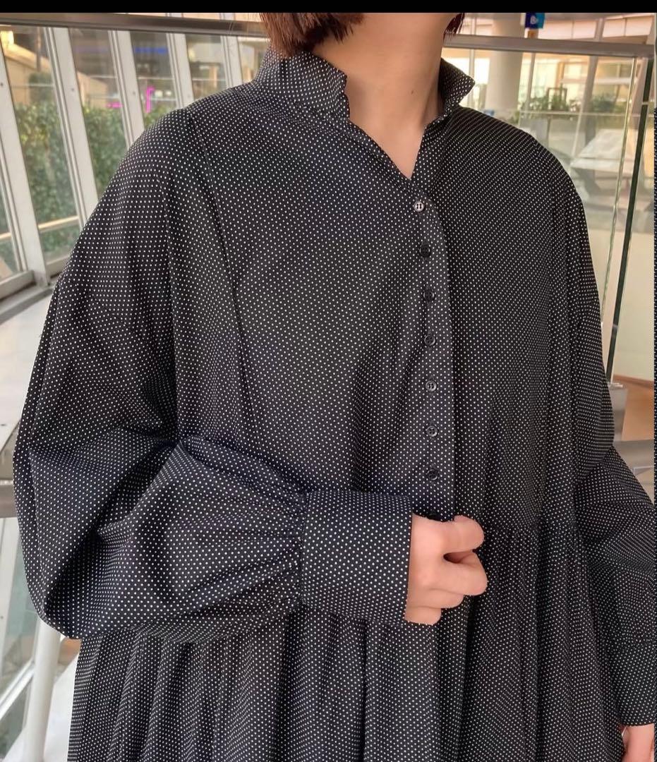 オオカミとフクロウ　フクロウと佇む木々の木漏れ日