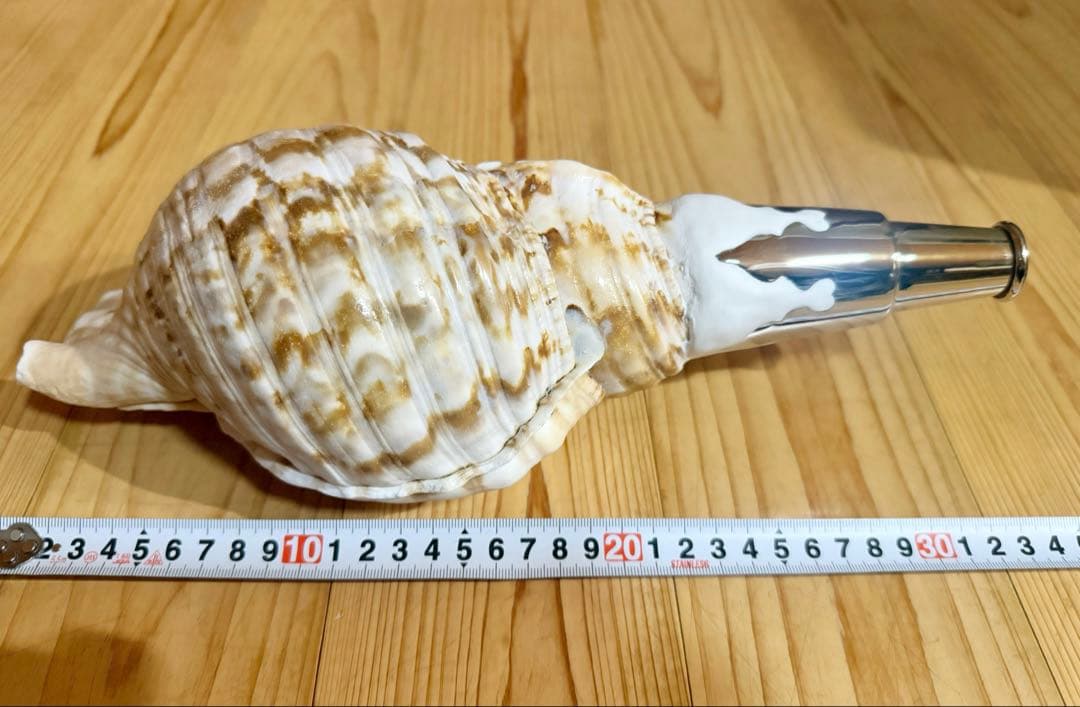 肉厚修験道法螺貝　山伏　密教　熊よけ　魔除け❣️ホラガイ　ほら貝