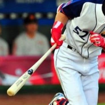 【プレミア】坂口智隆 DESCENTE 硬式木製バット 84.5cm 856g