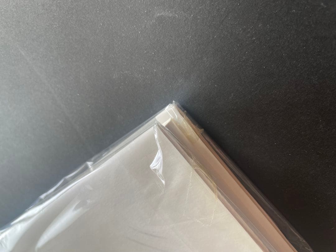 SHANTI Persona in India 鬼海弘雄