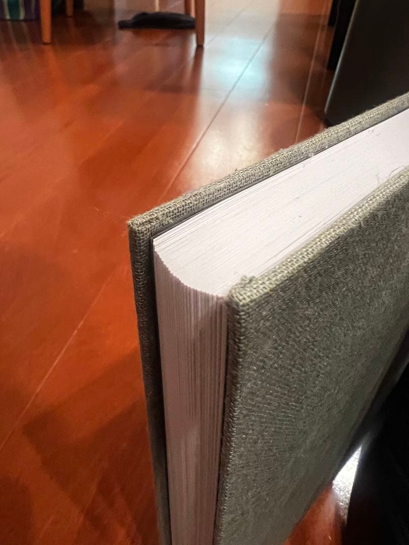 Yusuke Hanai ｜花井祐介｜画集初版｜ ORDINARY PEOPLE