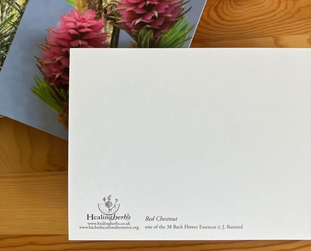 kazunoページ■52000+16700=68700ヒーリングハーブス社