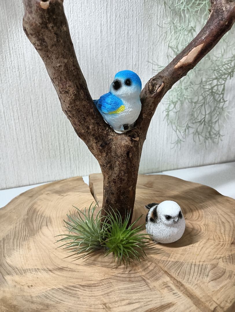 流木527　小鳥止まり木　卓上　バードアスレチック