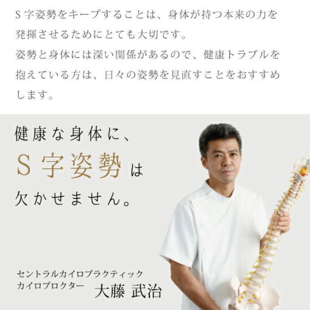 MTG STYLE CHAIR スタイルチェア DC グレー