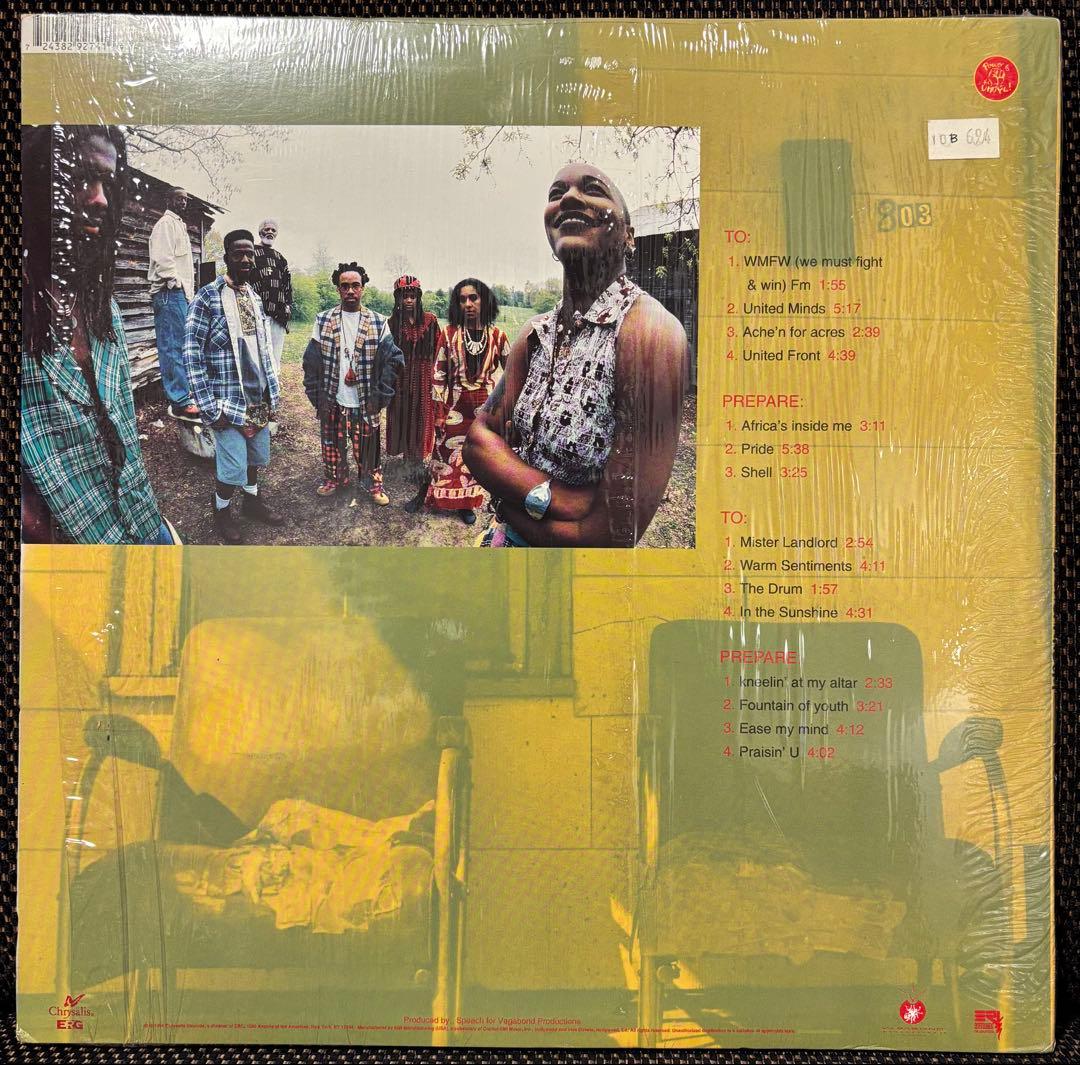 ARRESTED DEVELOPMENT ZINGALAMADUNI 2LP美品