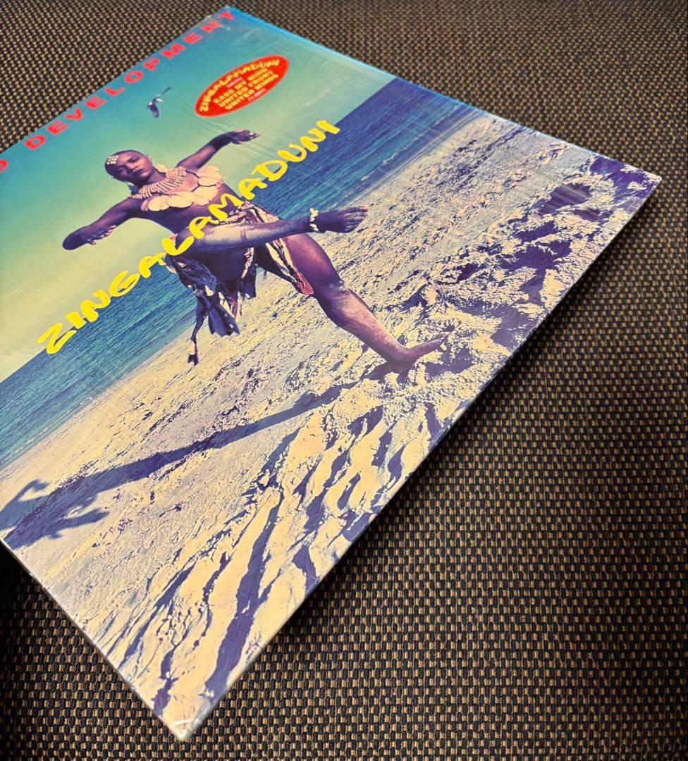 ARRESTED DEVELOPMENT ZINGALAMADUNI 2LP美品