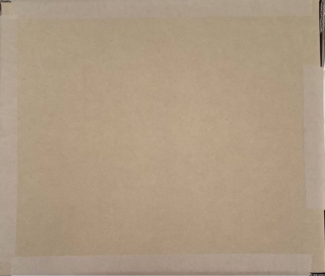 佐藤輝明 オールスターゲーム初本塁打記念 直筆サイン入りフォトパネル【BBM】