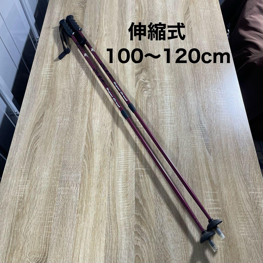 FISCHER150cm ROSSIGNOL24.5cmストック付きスキーセット