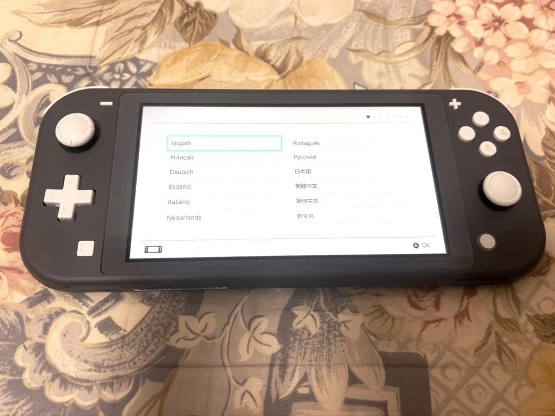 Switch Lite グレー 本体のみ 美品 任天堂 スイッチライト