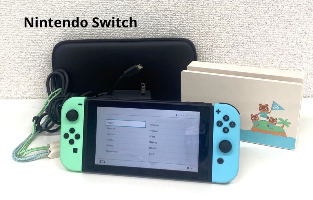 Nintendo Switch ニンテンドースイッチ どうぶつの森 特別デザイン