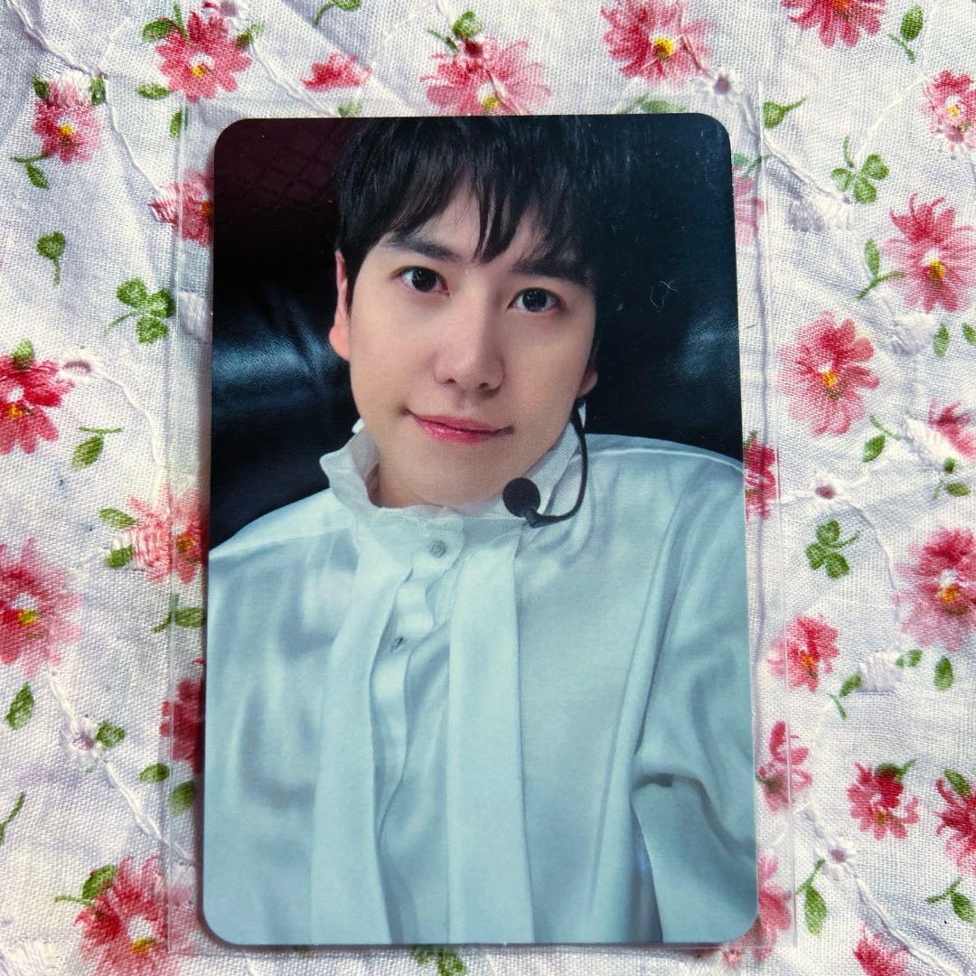 SUPER JUNIOR キュヒョン ELF-JAPAN 抽選 トレカ