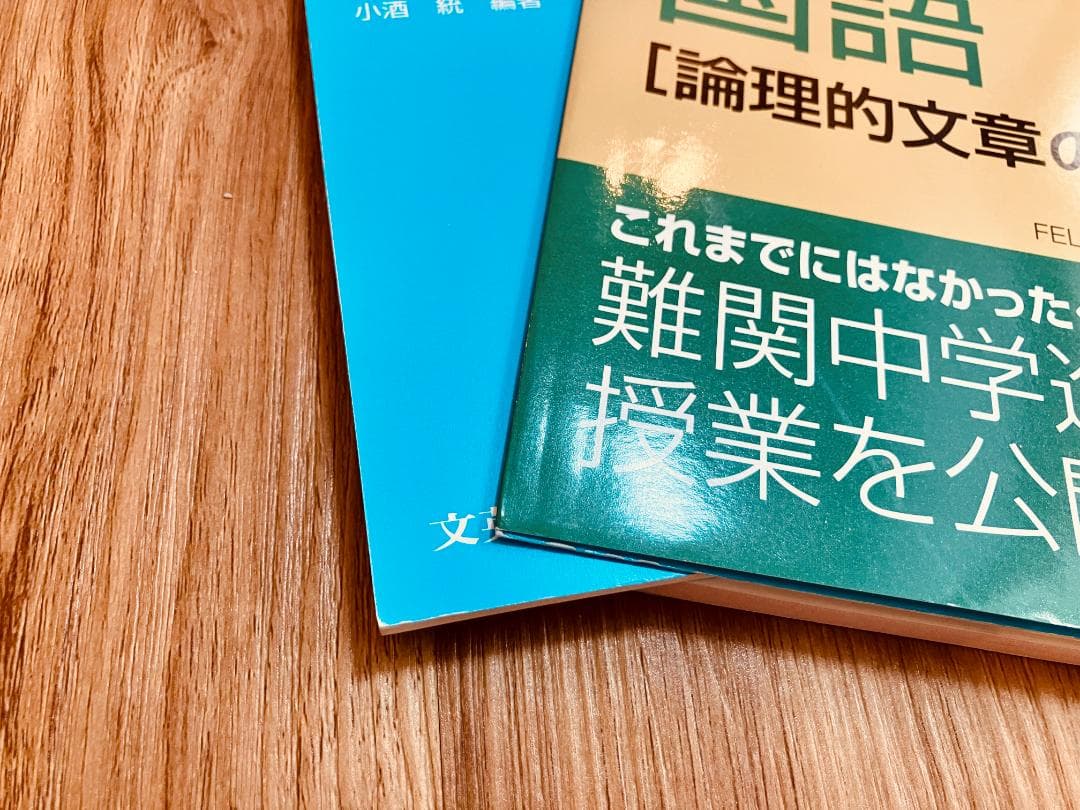 【未使用未記入】塾で教える国語　論理的文章の読解　文学的文章の読解　実践問題集