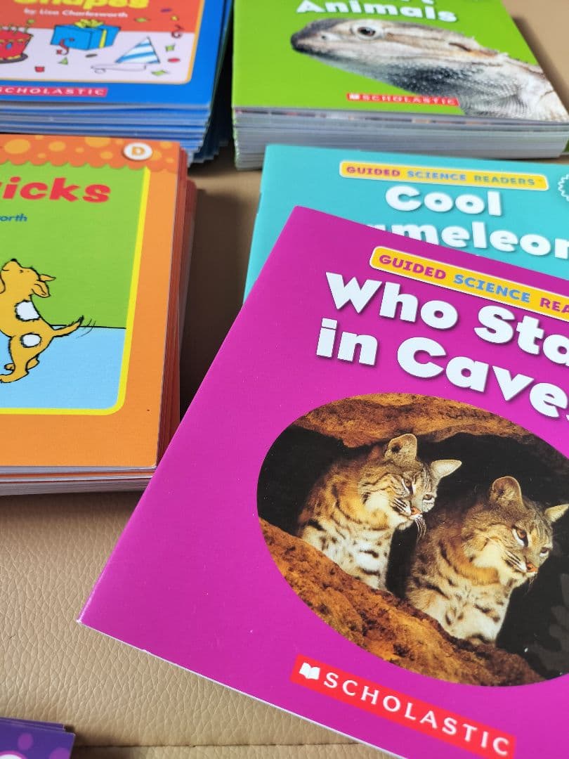 【33,000円購入】English Reader 英語絵本 大量セット