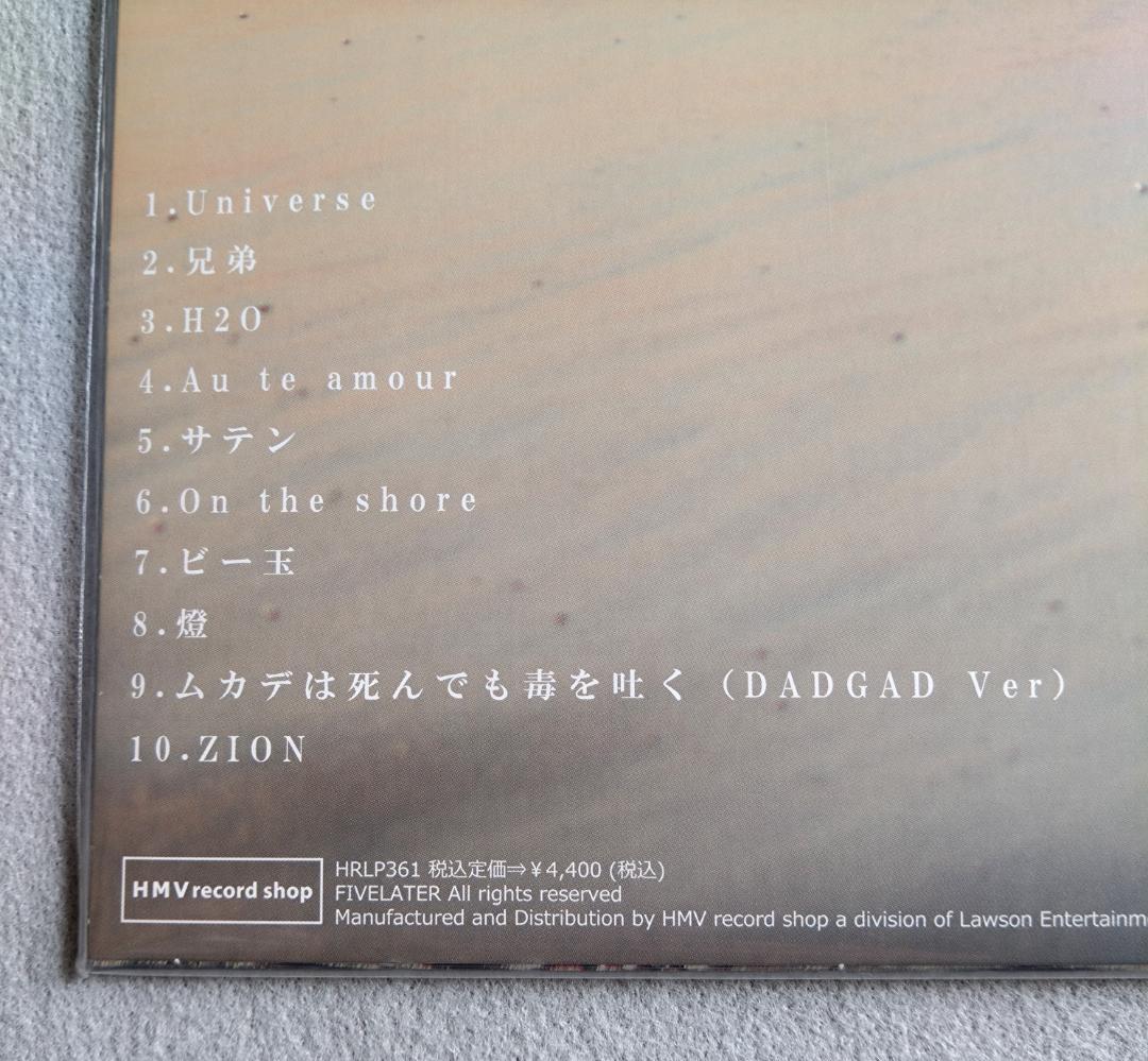 踊ってばかりの国 On the shore アナログレコード LP Vinyl