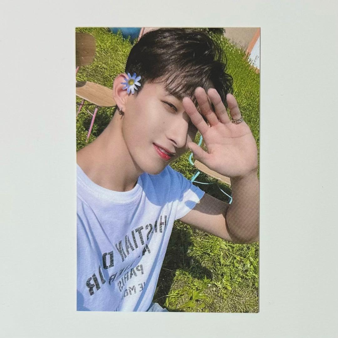 SEVENTEEN セブチ your choice サノク ドギョム トレカ