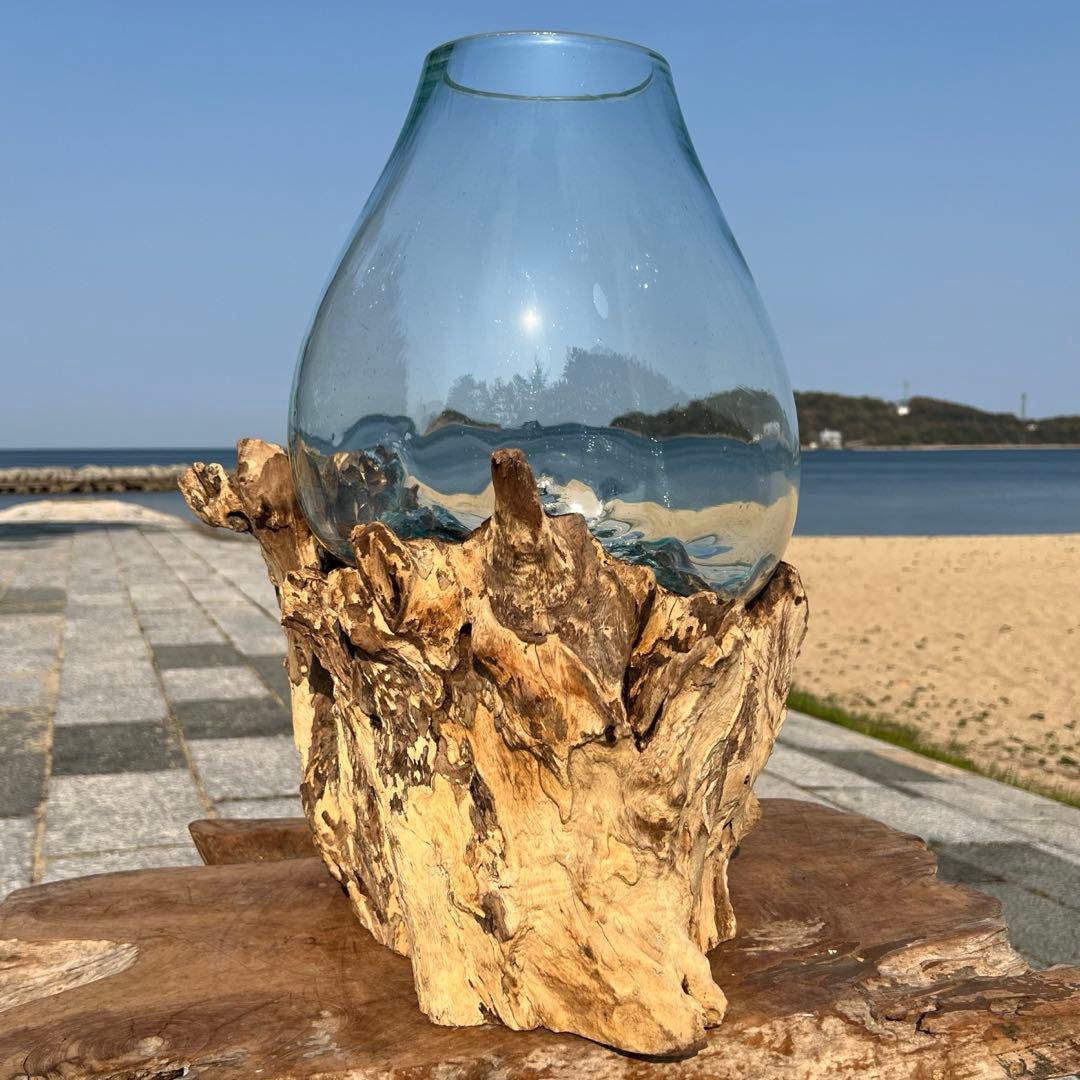 デッカい流木ガラスオブジェWC 花瓶 金魚鉢 水槽 苔リウム メダカ容器 超大型