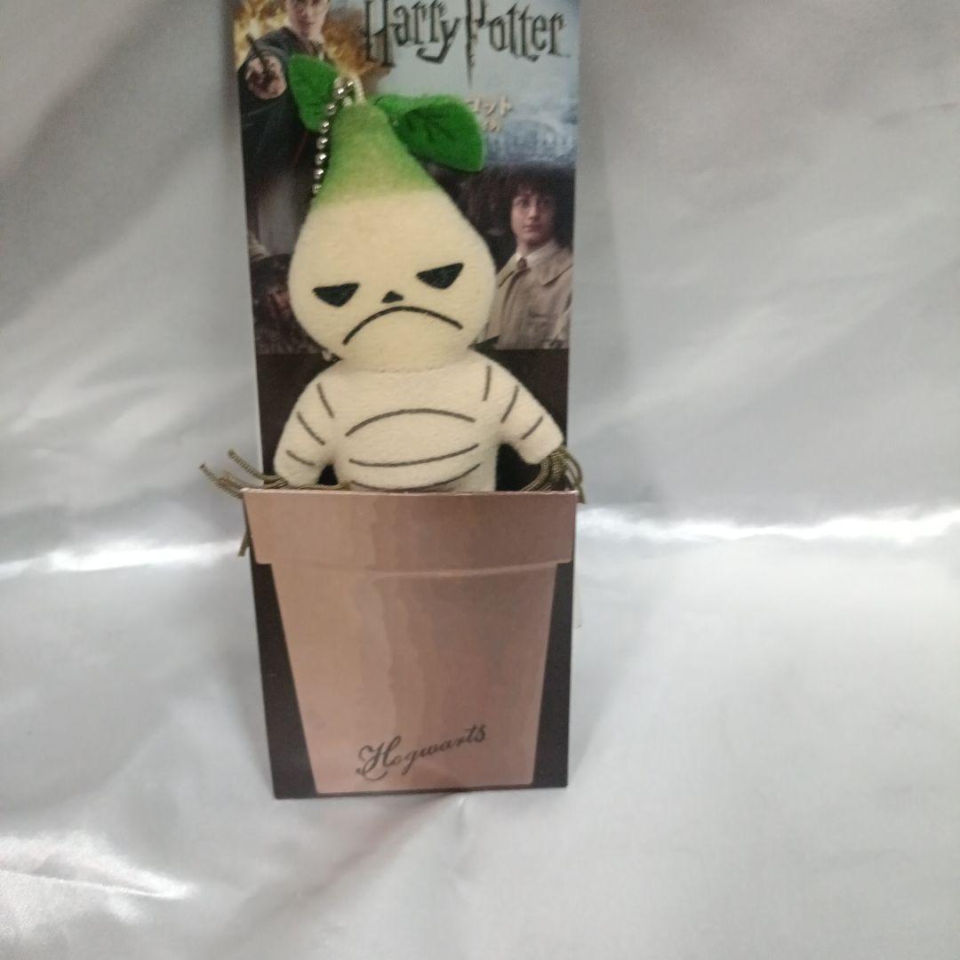 ハリーポッターセット