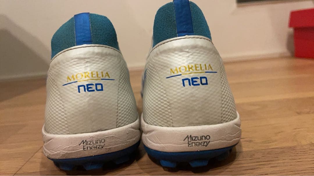 モレリアネオサラβ