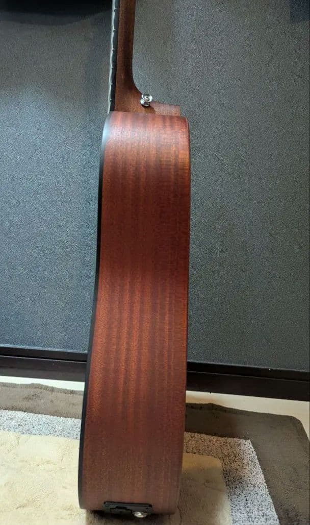 Martin & Co. アコースティックギター