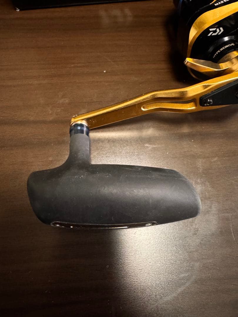 DAIWA ソルティガ IC300 HL-SJ