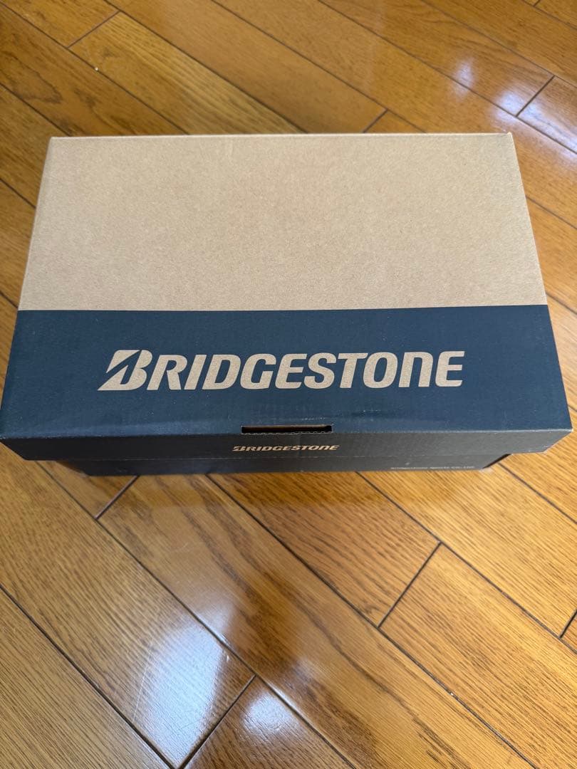 ボアシステム ホワイト ゴルフシューズ