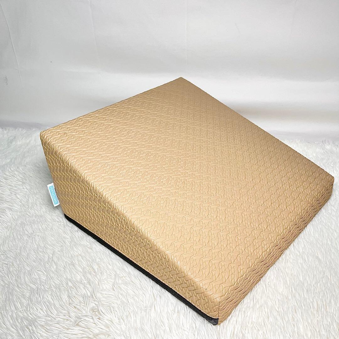【美品】フレックスクッション 体幹 姿勢補正 SANTEPLUS