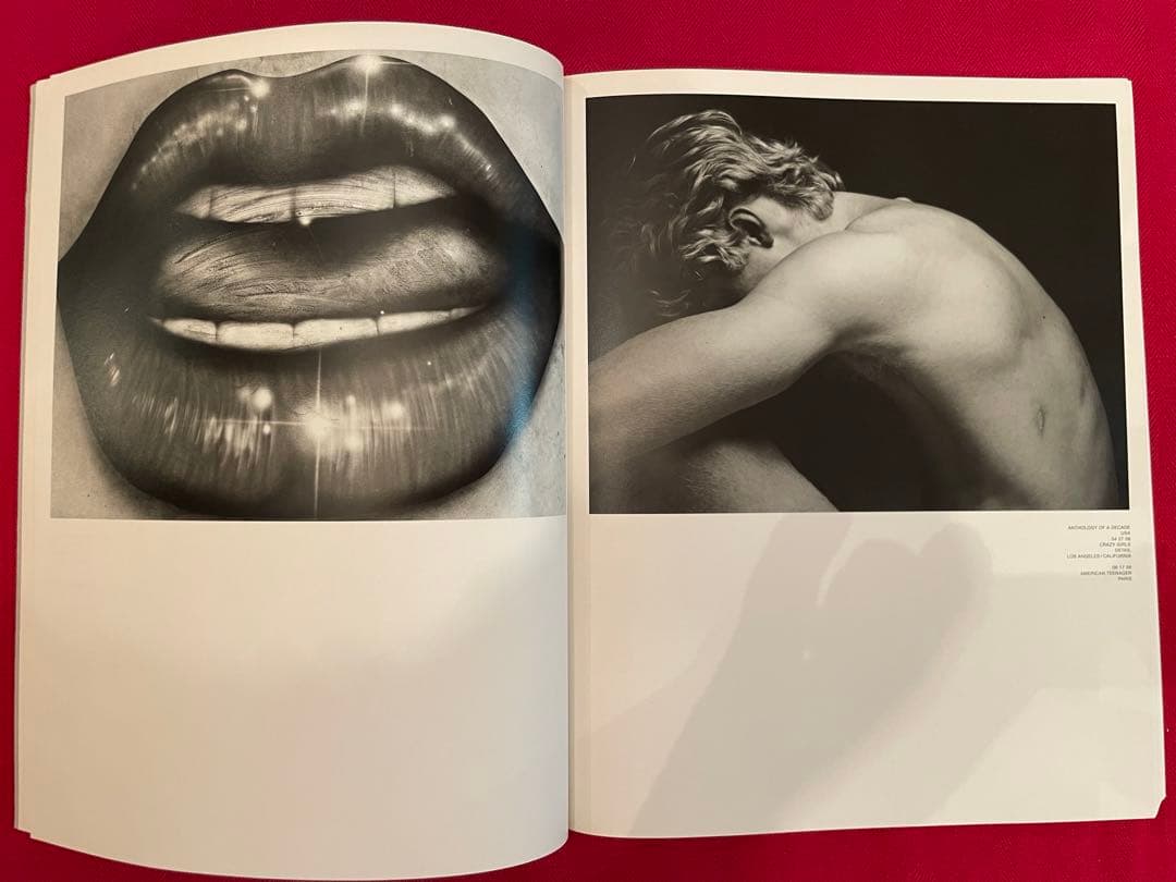 エディスリマン絶版希少Anthology of a Decade写真集3冊セット