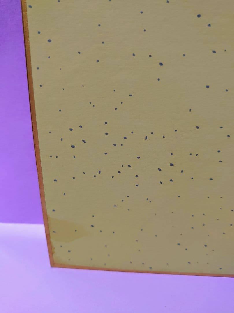 岡田可愛 直筆サイン色紙 & 毎日夫人 No.179