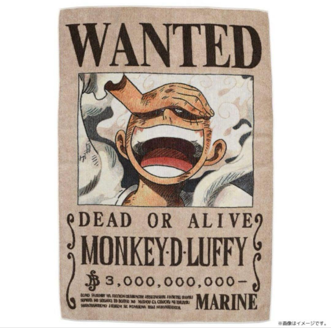 ワンピース　ニカ　ルフィ　手配書　タオル　新品未開封