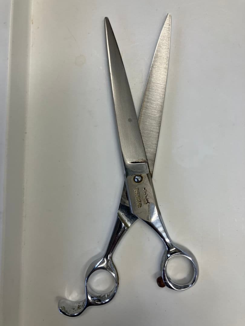 天洋Gにちょうがけ