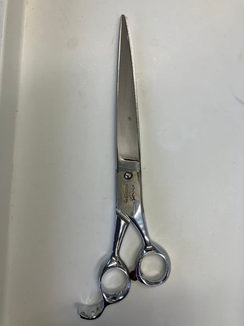 天洋Gにちょうがけ